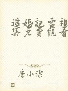 追婚记电视剧全集免费观看完整版