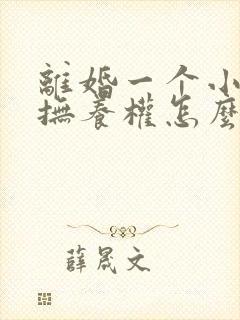 离婚一个小孩子抚养权怎么判定