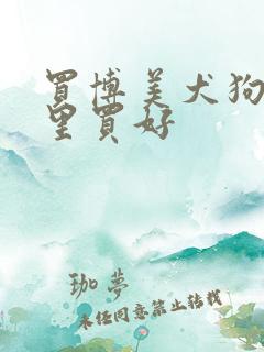 买博美犬狗去哪里买好