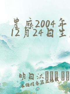 农历2004年12月24日生辰八字