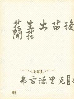 花生出苗后多久开花