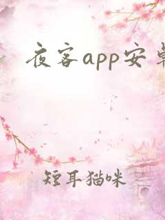 夜客app安卓 夜客app安卓