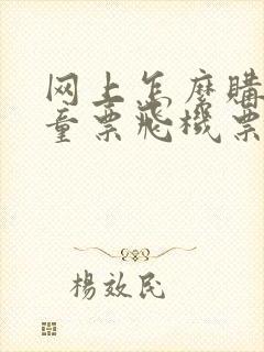 网上怎么购买儿童票飞机票