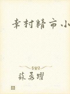 幸村精市小说