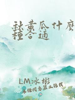 秋黄瓜什么时候种合适
