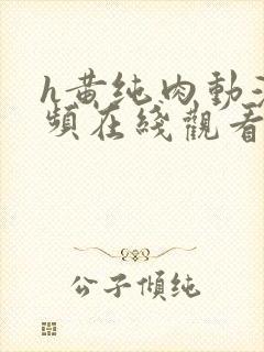 h黄纯肉动漫视频在线观看