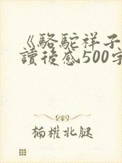 《骆驼祥子》的读后感500字左右