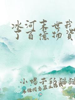 冰河末世我囤积了百亿物资吧