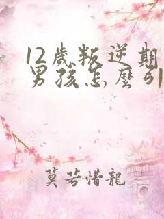 12岁叛逆期的男孩怎么引导
