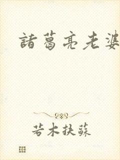 诸葛亮老婆丑吗