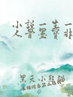小说一生一世美人骨墨宝非宝