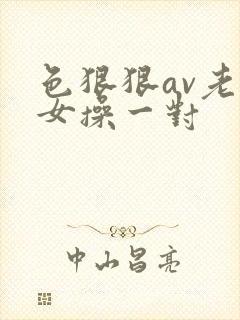 色狠狠av老熟女操一对