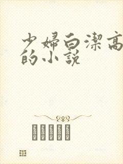 少妇白洁高校长的小说