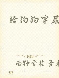 给狗狗穿尿不湿