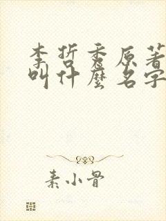 李哲秀原著小说叫什么名字啊 李哲秀原著小说叫什么名字啊