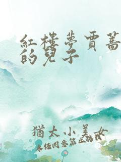 红楼梦贾蔷是谁的儿子