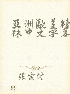 亚洲欧美精品丝袜中文字幕