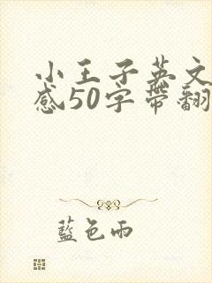 小王子英文读后感50字带翻译 小王子英文读后感50字带翻译