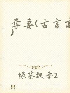 夺妻(古言高h)