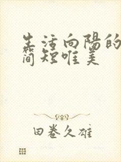 生活向阳的句子简短唯美