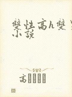 双性高h双男主小说