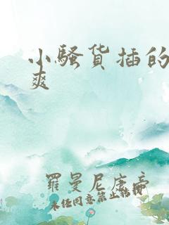 小骚货插的爽不爽