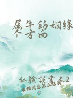 属牛的姻缘在哪个方向