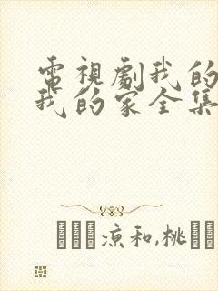 电视剧我的孩子我的家全集观看
