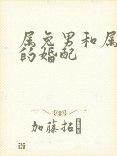 属兔男和属蛇女的婚配