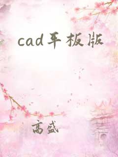 cad平板版