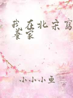 我在北宋写小说养家