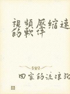 视频压缩速度快的软件