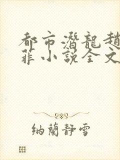 都市潜龙赵东苏菲小说全文免费阅读完整版