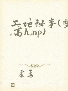 工地秘事(双性,高h,np)