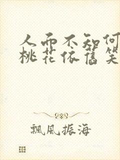 人面不知何处去桃花依旧笑春风的意思