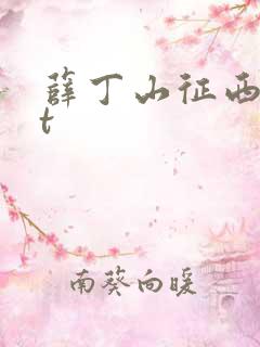 薛丁山征西txt