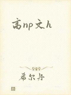 高np文h
