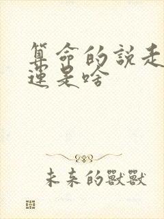 算命的说走南方运是啥