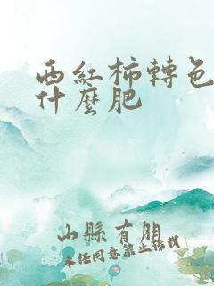 西红柿转色期施什么肥