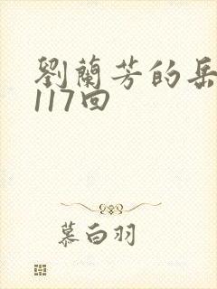 刘兰芳的岳飞传117回