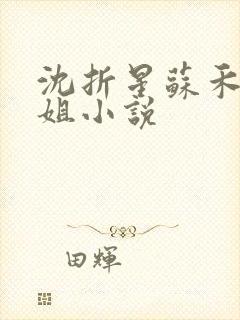 沈折星苏禾前妻姐小说