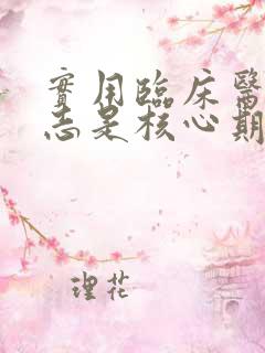 实用临床医药杂志是核心期刊吗