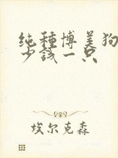 纯种博美狗狗多少钱一只
