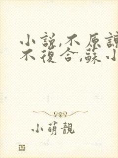 小说,不原谅,不复合,苏小姐独美