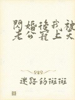 闪婚后我被总裁老公宠上天小说