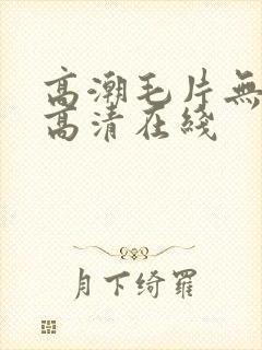 高潮毛片无遮挡高清在线