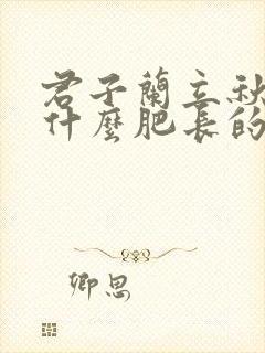 君子兰立秋后施什么肥长的好