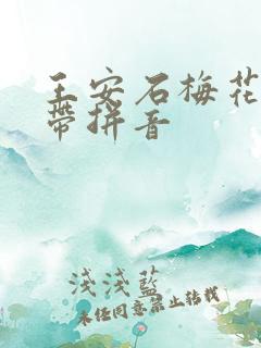 王安石梅花古诗带拼音
