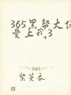 365黑帮大佬爱上我3