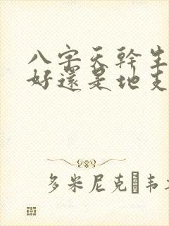 八字天干生地支好还是地支生天干好